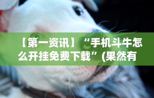 【第一资讯】“手机斗牛怎么开挂免费下载”(果然有透视挂)