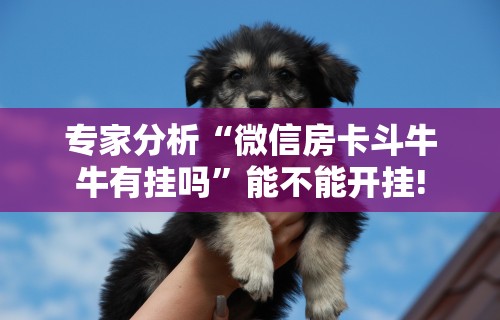 专家分析“微信房卡斗牛牛有挂吗”能不能开挂!