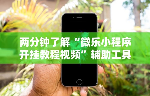 两分钟了解“微乐小程序开挂教程视频”辅助工具插件,揭秘技巧开挂