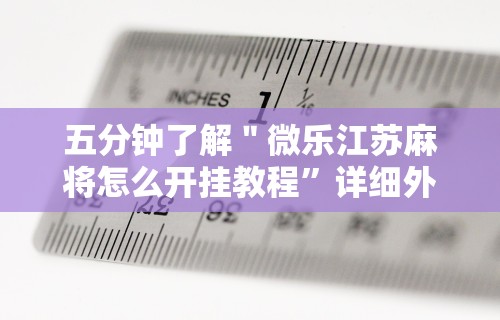 五分钟了解＂微乐江苏麻将怎么开挂教程”详细外挂安装步骤