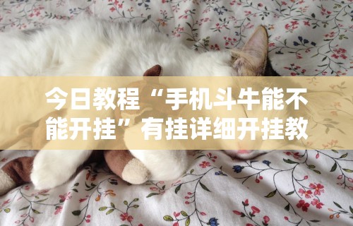 今日教程“手机斗牛能不能开挂”有挂详细开挂教程