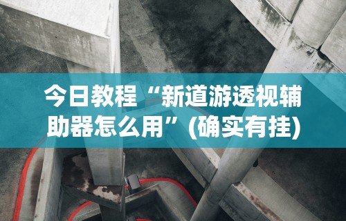 今日教程“新道游透视辅助器怎么用”(确实有挂)