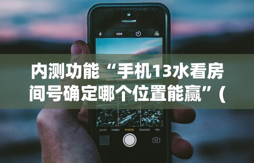 内测功能“手机13水看房间号确定哪个位置能赢”(太坑了果然有挂)