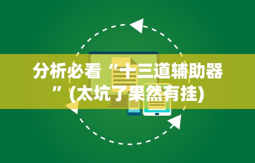 分析必看“十三道辅助器”(太坑了果然有挂)