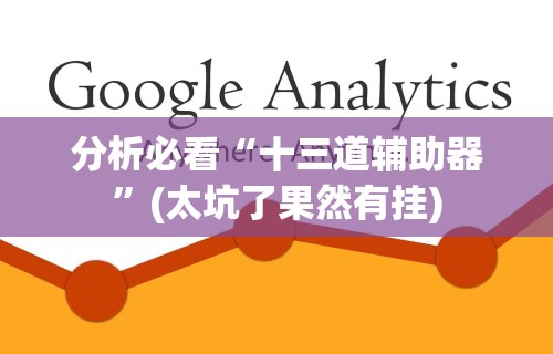 分析必看“十三道辅助器”(太坑了果然有挂)