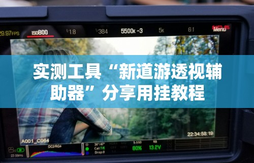 实测工具“新道游透视辅助器”分享用挂教程