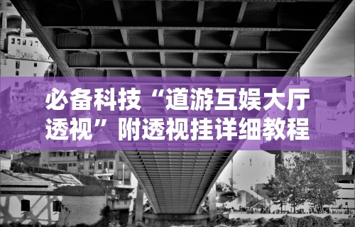 必备科技“道游互娱大厅透视”附透视挂详细教程