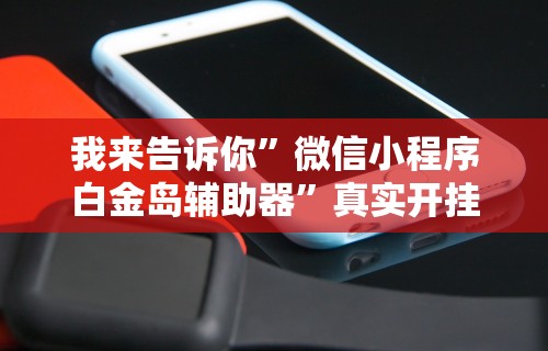 我来告诉你”微信小程序白金岛辅助器”真实开挂技巧分享