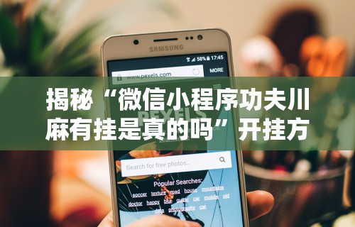 揭秘“微信小程序功夫川麻有挂是真的吗”开挂方法
