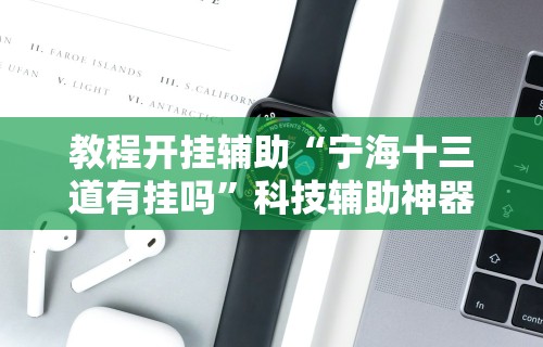 教程开挂辅助“宁海十三道有挂吗”科技辅助神器手机版教程