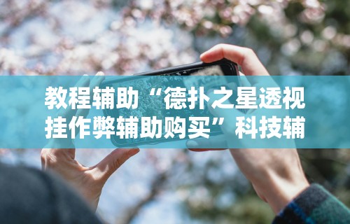 教程辅助“德扑之星透视挂作弊辅助购买”科技辅助神器手机版