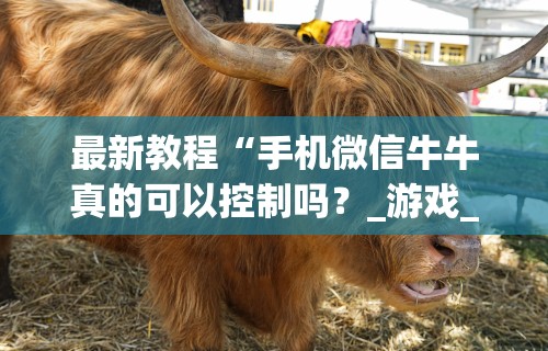 最新教程“手机微信牛牛真的可以控制吗？_游戏_玩家_工具