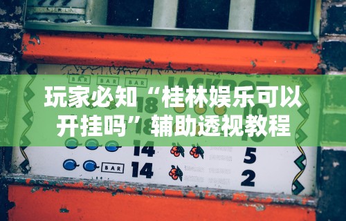 玩家必知“桂林娱乐可以开挂吗”辅助透视教程