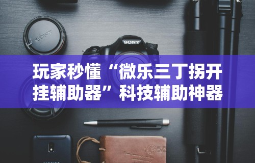 玩家秒懂“微乐三丁拐开挂辅助器”科技辅助神器手机版