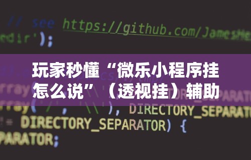 玩家秒懂“微乐小程序挂怎么说”（透视挂）辅助神器教程
