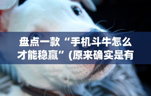 盘点一款“手机斗牛怎么才能稳赢”(原来确实是有挂)