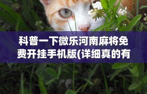 科普一下微乐河南麻将免费开挂手机版(详细真的有挂)-知乎