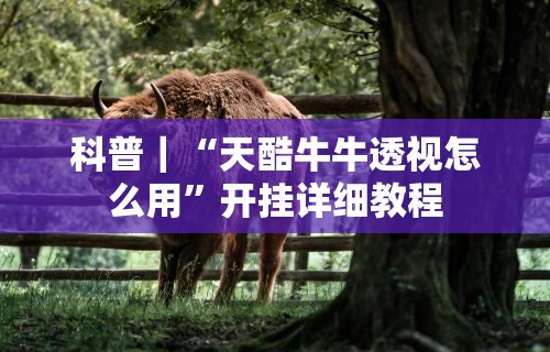 科普｜“天酷牛牛透视怎么用”开挂详细教程