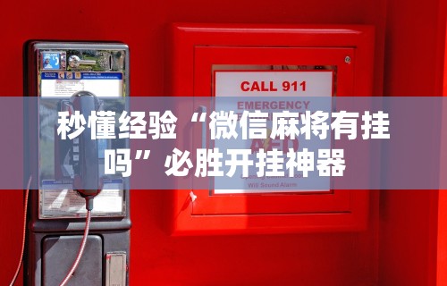 秒懂经验“微信麻将有挂吗”必胜开挂神器