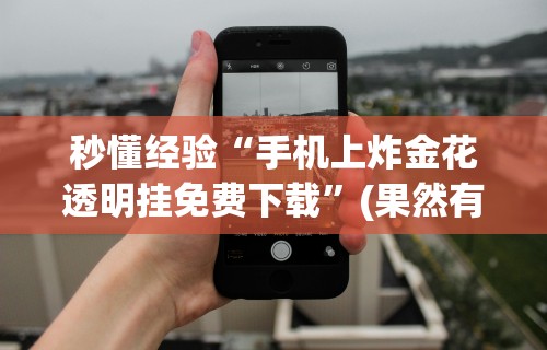 秒懂经验“手机上炸金花透明挂免费下载”(果然有透视挂)