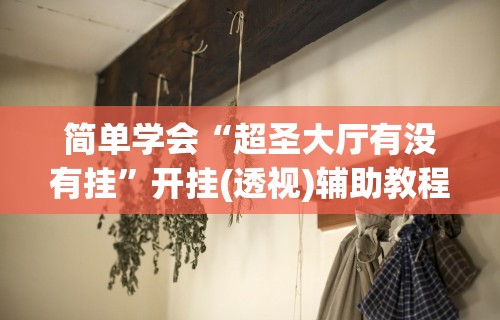简单学会“超圣大厅有没有挂”开挂(透视)辅助教程