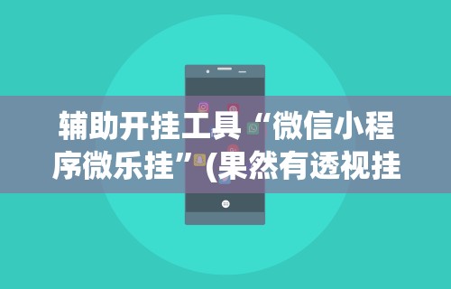 辅助开挂工具“微信小程序微乐挂”(果然有透视挂)