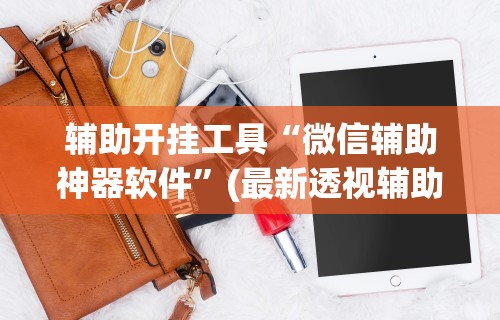 辅助开挂工具“微信辅助神器软件”(最新透视辅助上线)