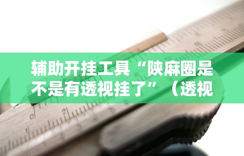 辅助开挂工具“陕麻圈是不是有透视挂了”（透视挂）辅助神器教程