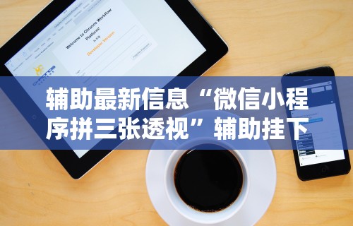 辅助最新信息“微信小程序拼三张透视”辅助挂下载