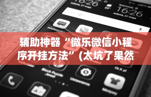 辅助神器“微乐微信小程序开挂方法	”(太坑了果然有挂)