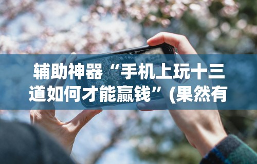 辅助神器“手机上玩十三道如何才能赢钱”(果然有透视挂)