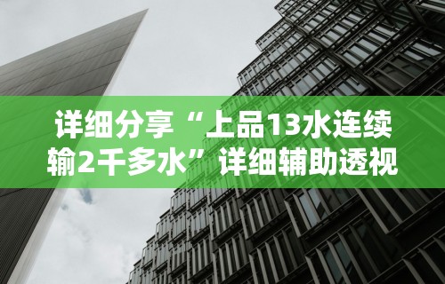 详细分享“上品13水连续输2千多水	”详细辅助透视
