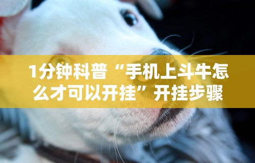 1分钟科普“手机上斗牛怎么才可以开挂”开挂步骤方法
