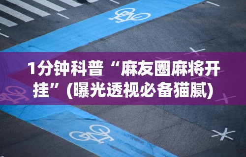 1分钟科普“麻友圈麻将开挂	”(曝光透视必备猫腻)