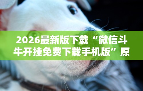 2026最新版下载“微信斗牛开挂免费下载手机版”原来可以开挂