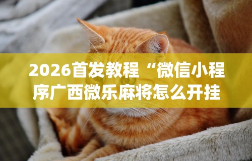2026首发教程“微信小程序广西微乐麻将怎么开挂	”(透视曝光猫腻)