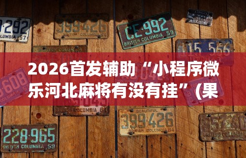 2026首发辅助“小程序微乐河北麻将有没有挂”(果然有透视挂)