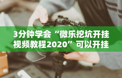 3分钟学会“微乐挖坑开挂视频教程2020	”可以开挂作弊