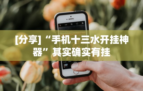 [分享]“手机十三水开挂神器”其实确实有挂