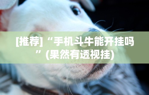 [推荐]“手机斗牛能开挂吗”(果然有透视挂)