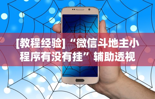 [教程经验]“微信斗地主小程序有没有挂”辅助透视教程