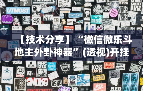 【技术分享】“微信微乐斗地主外卦神器”(透视)开挂辅助脚本+详细开挂安装教程