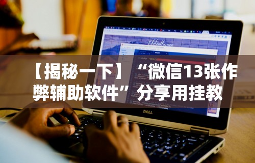 【揭秘一下】“微信13张作弊辅助软件”分享用挂教程