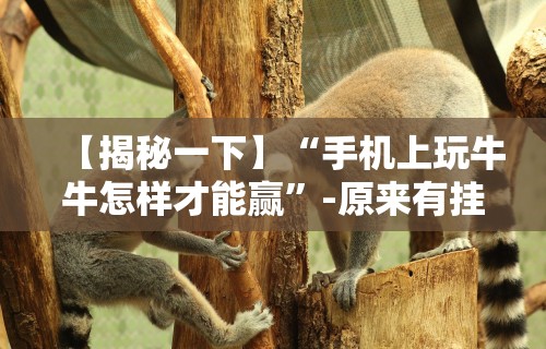 【揭秘一下】“手机上玩牛牛怎样才能赢”-原来有挂