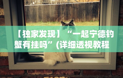 【独家发现】“一起宁德钓蟹有挂吗”(详细透视教程)