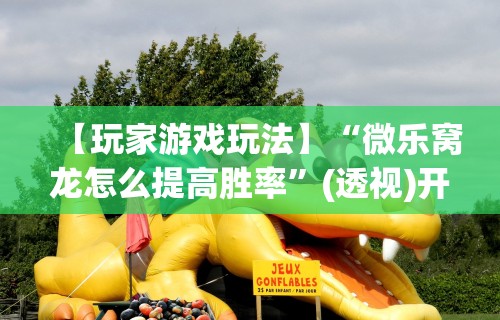 【玩家游戏玩法】“微乐窝龙怎么提高胜率	”(透视)开挂详细教程