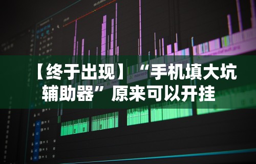 【终于出现】“手机填大坑辅助器”原来可以开挂