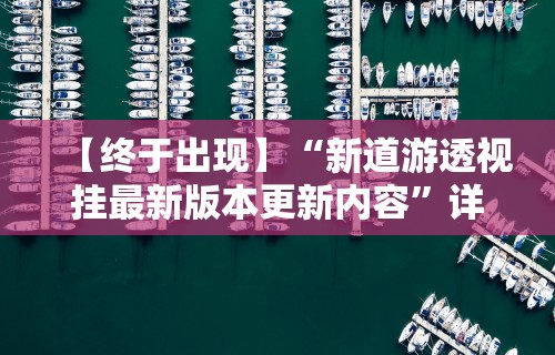 【终于出现】“新道游透视挂最新版本更新内容”详细辅助软件教程