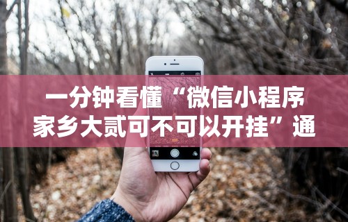 一分钟看懂“微信小程序家乡大贰可不可以开挂	”通用版下载教程!