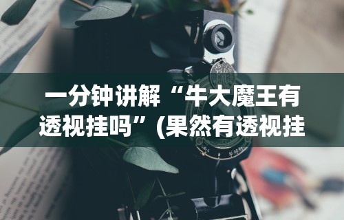 一分钟讲解“牛大魔王有透视挂吗”(果然有透视挂)